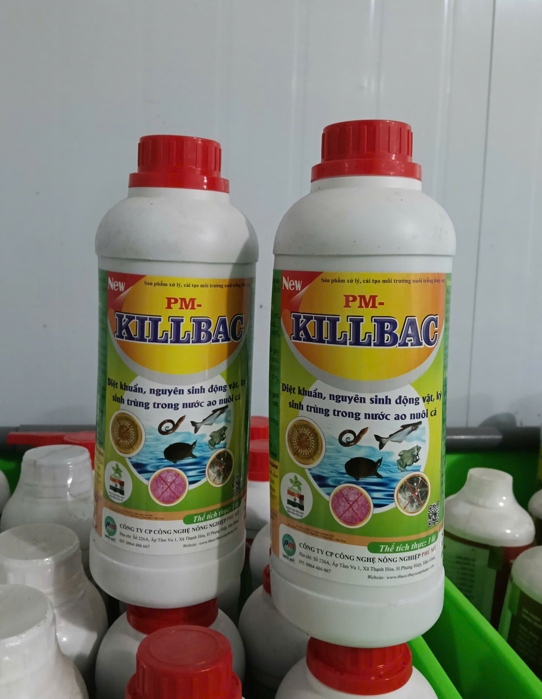 PM Killbac thuốc sát khuẩn xử lý nước ao nuôi thủy sản