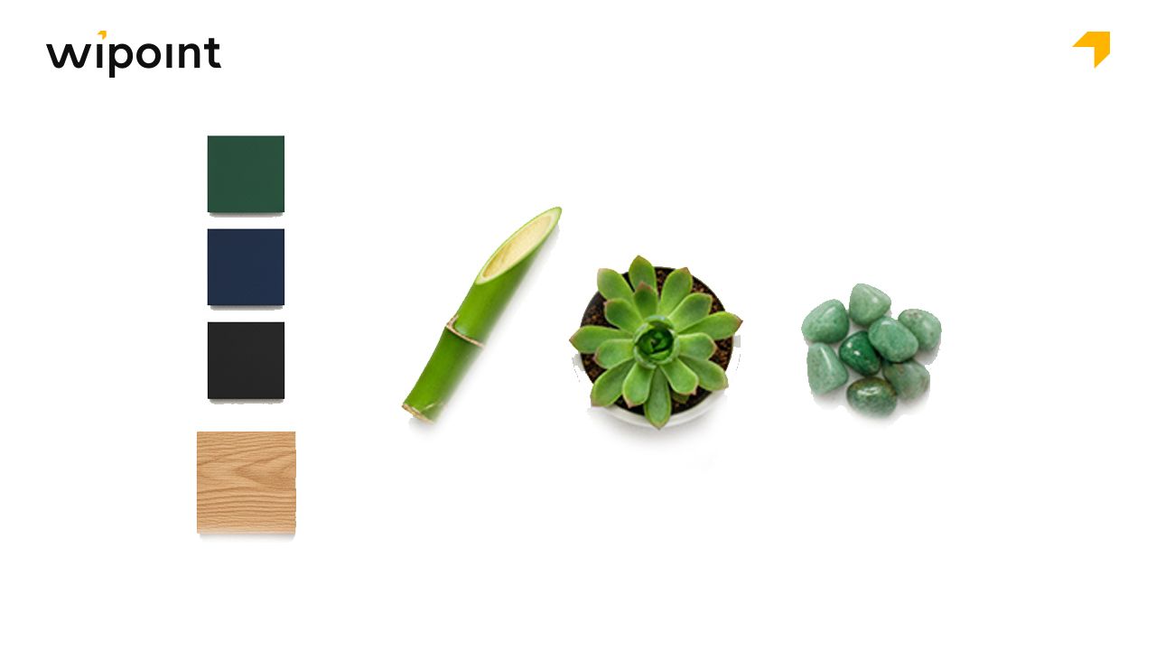 Đặc điểm người mệnh Mộc và ý nghĩa khi chọn quà