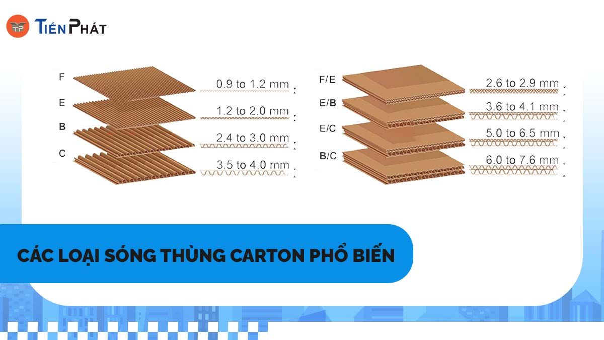 Các loại sóng thùng carton phổ biến