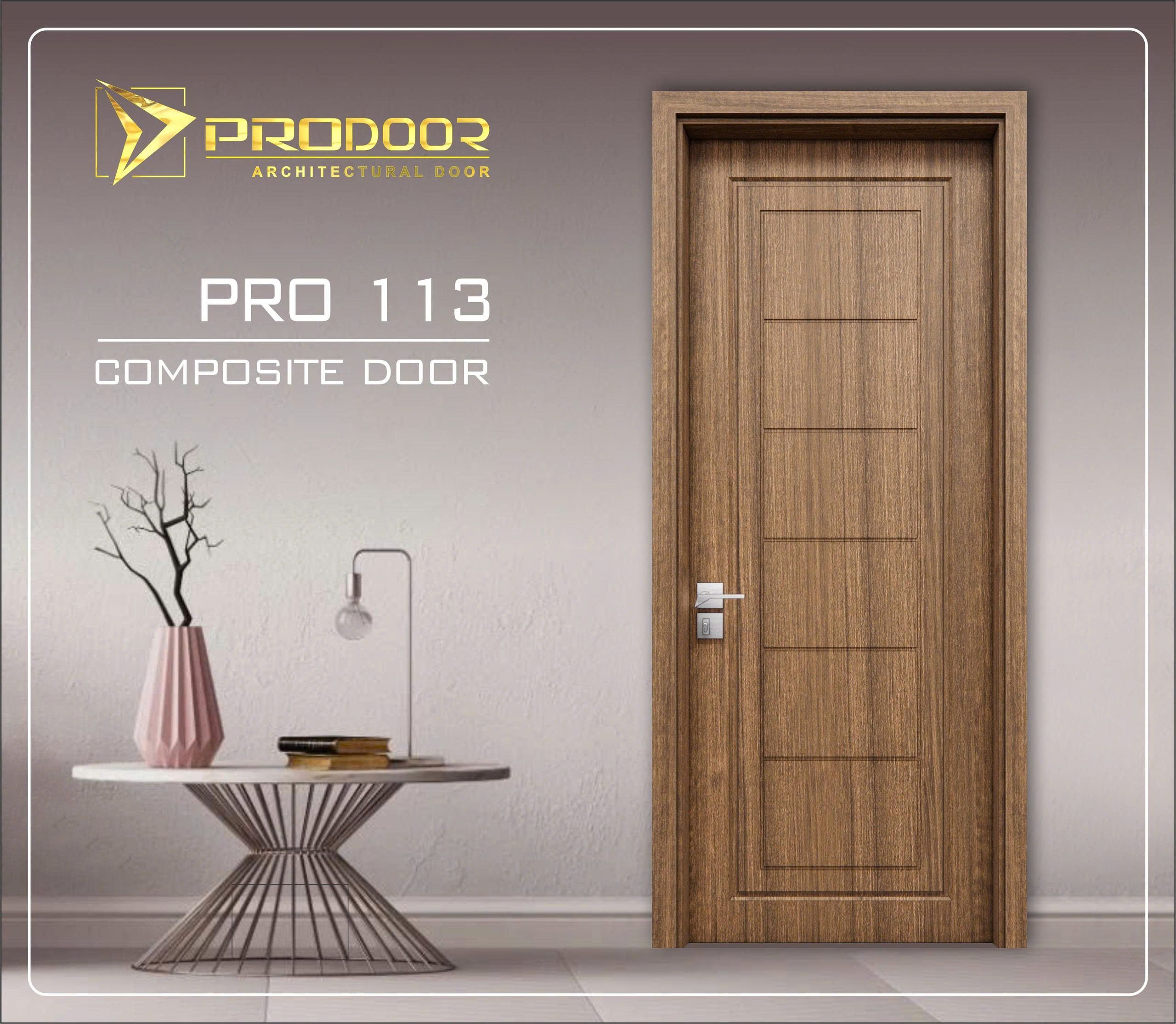 pro113