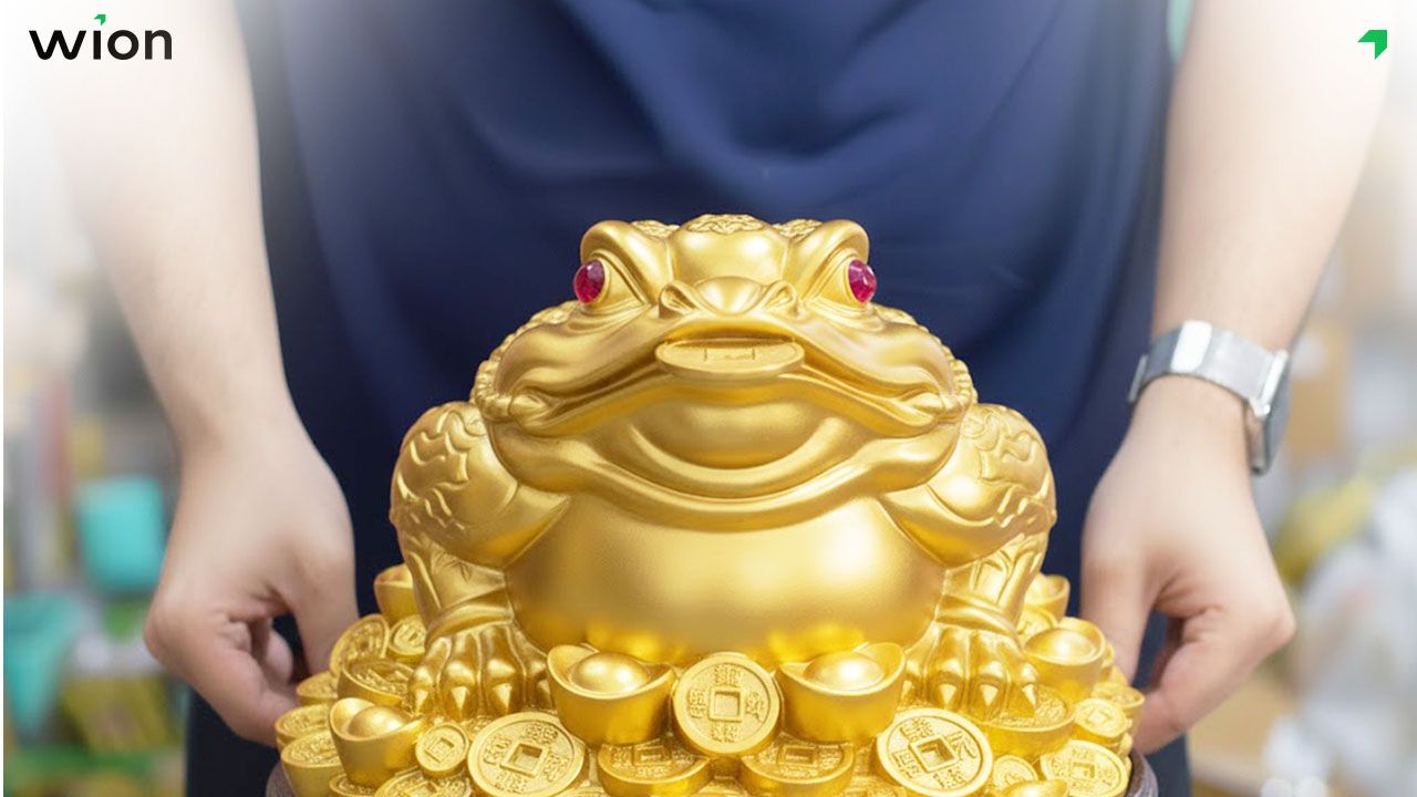 Tìm hiểu về cóc ngậm tiền trong phong thủy Thần Tài